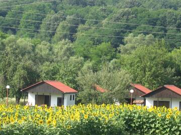 Фото Комплексы для отдыха с коттеджами/бунгало Lucky Bungalows г. Елена 1