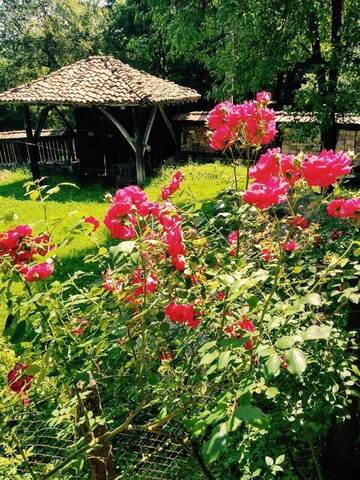 Фото номера Дом с 3 спальнями Дома для отпуска Guest House Stoyanovata Kashta - Стояновата къща г. Елена 13