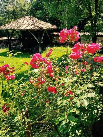 Фото номера Дом с 3 спальнями Дома для отпуска Guest House Stoyanovata Kashta - Стояновата къща г. Елена 32
